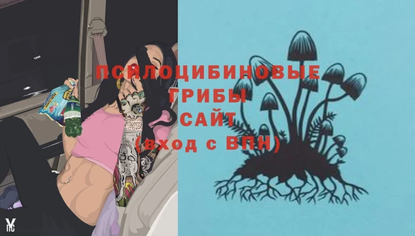 гидропоника Лиски