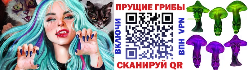 Псилоцибиновые грибы прущие грибы  Чердынь 